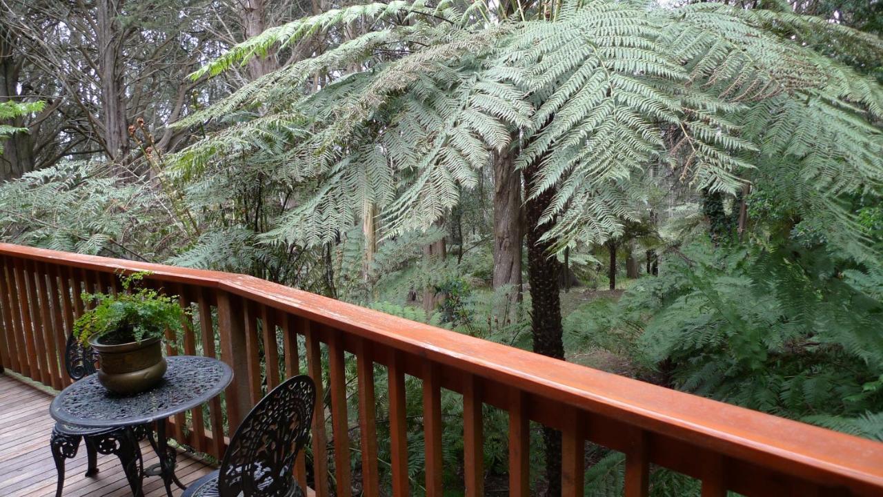 Chudleigh Park Cottages Sassafras Экстерьер фото