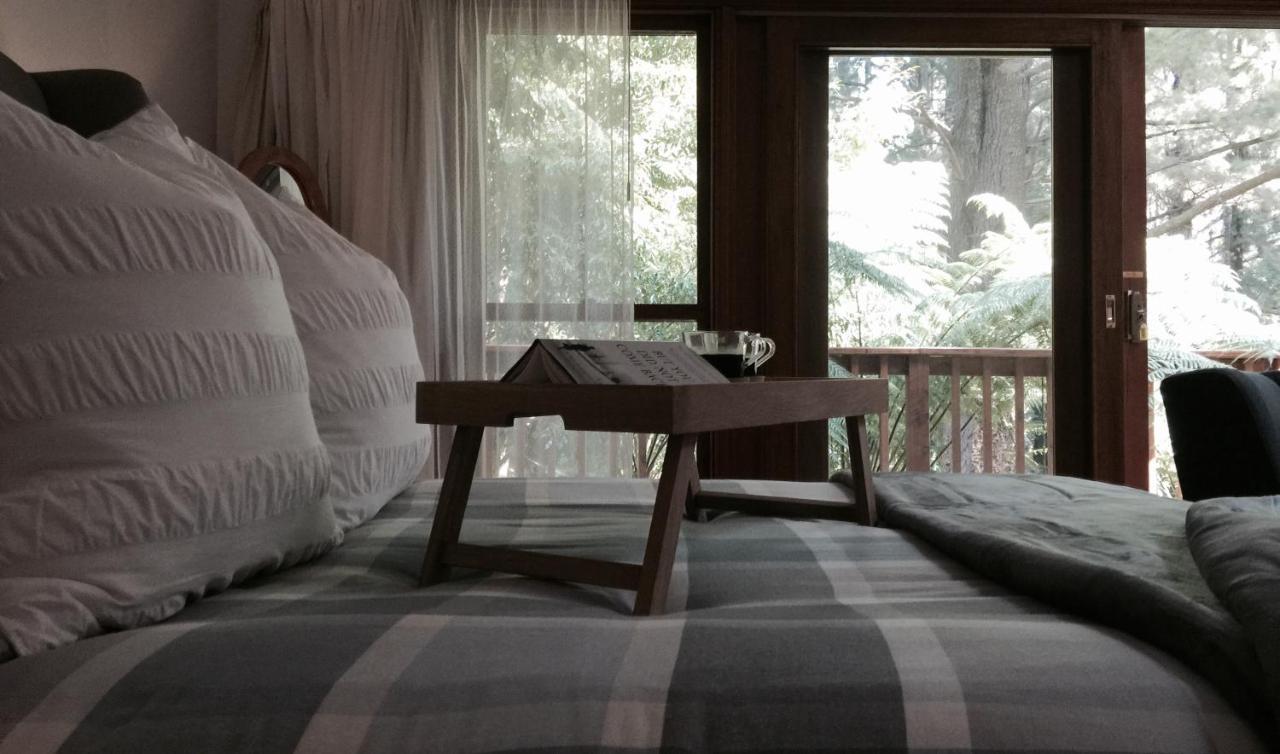 Chudleigh Park Cottages Sassafras Экстерьер фото
