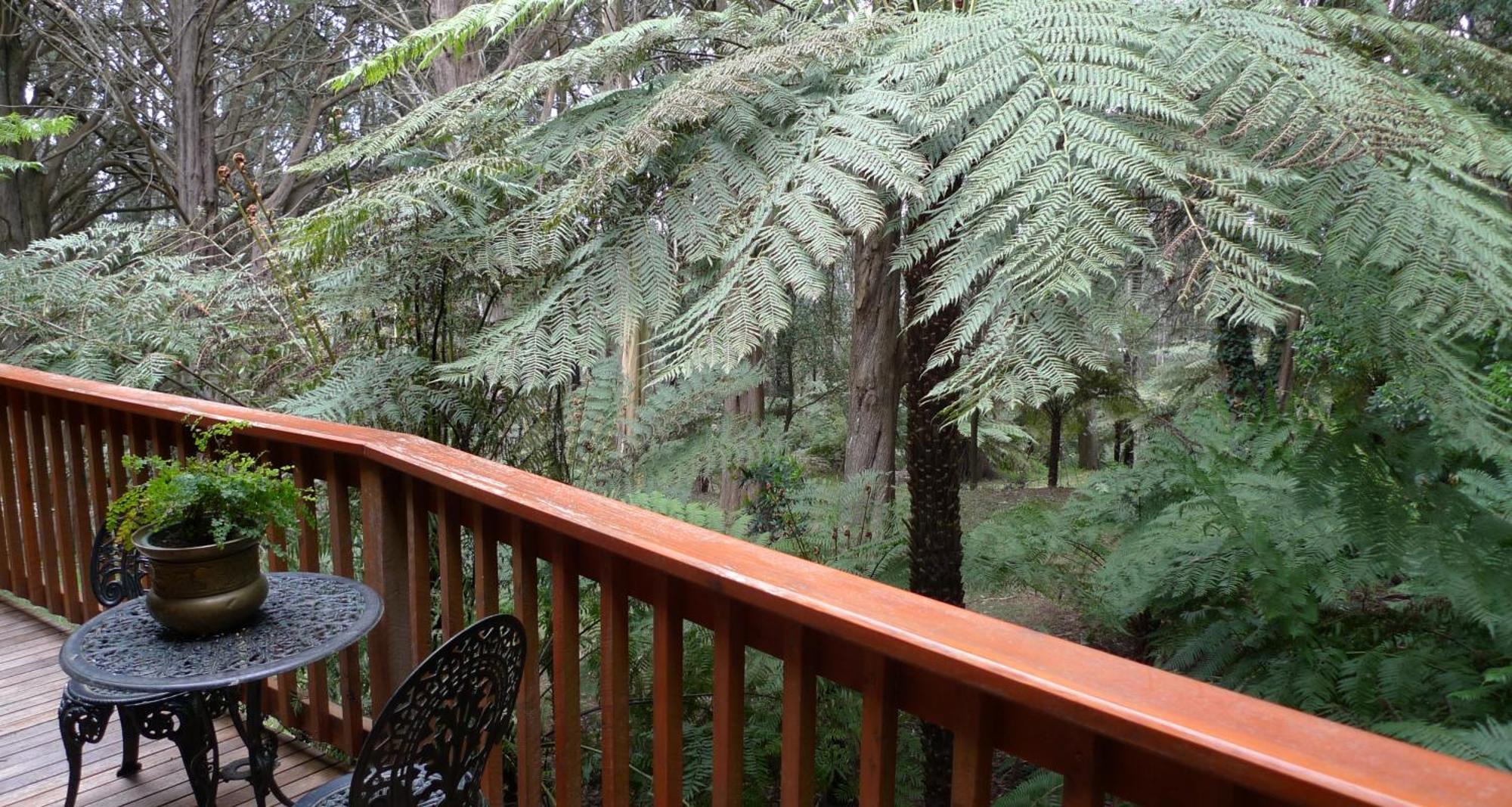 Chudleigh Park Cottages Sassafras Экстерьер фото