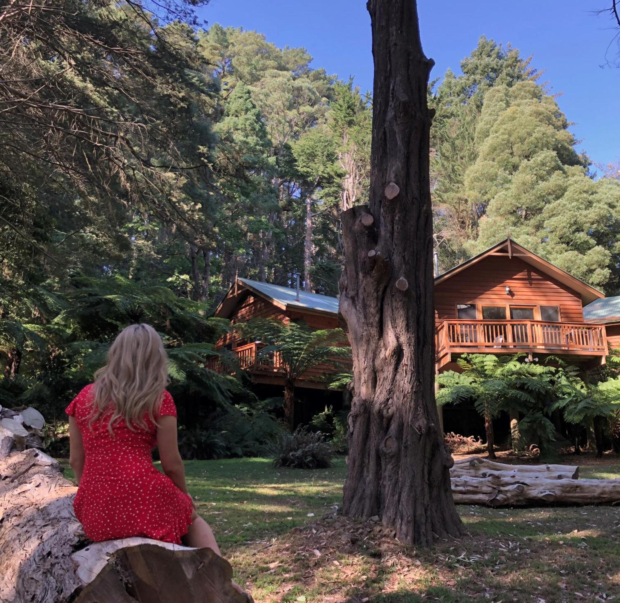 Chudleigh Park Cottages Sassafras Экстерьер фото